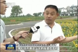 娱乐圈吃瓜新闻播报,明星恋情、绯闻、幕后故事大揭秘！