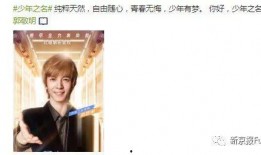 吃瓜娱乐圈小故事免费阅读,揭秘吃瓜小故事的真相与笑料