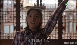 娱乐圈吃瓜直播靠谱,揭秘幕后真相，带你走进直播界的风云变幻