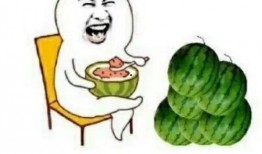 娱乐圈吃瓜大队