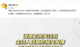 娱乐圈吃瓜动态视频下载,揭秘明星幕后故事，视频下载带你一探究竟