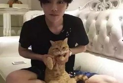 王源娱乐圈吃瓜,揭秘明星背后的“吃瓜”故事