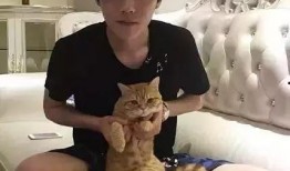 王源娱乐圈吃瓜,揭秘明星背后的“吃瓜”故事