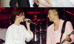 四月娱乐圈吃瓜事件,揭秘热点事件背后的真相与风波