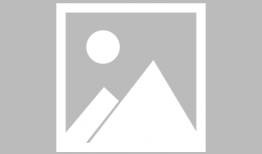 娱乐圈白鹿吃瓜事件